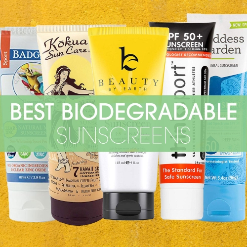 Best Biodegradable Sunscreens featured image